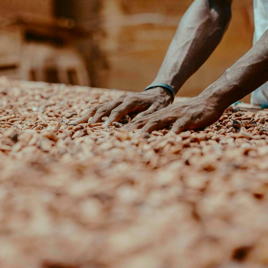 Coffee and Cocoa Trading